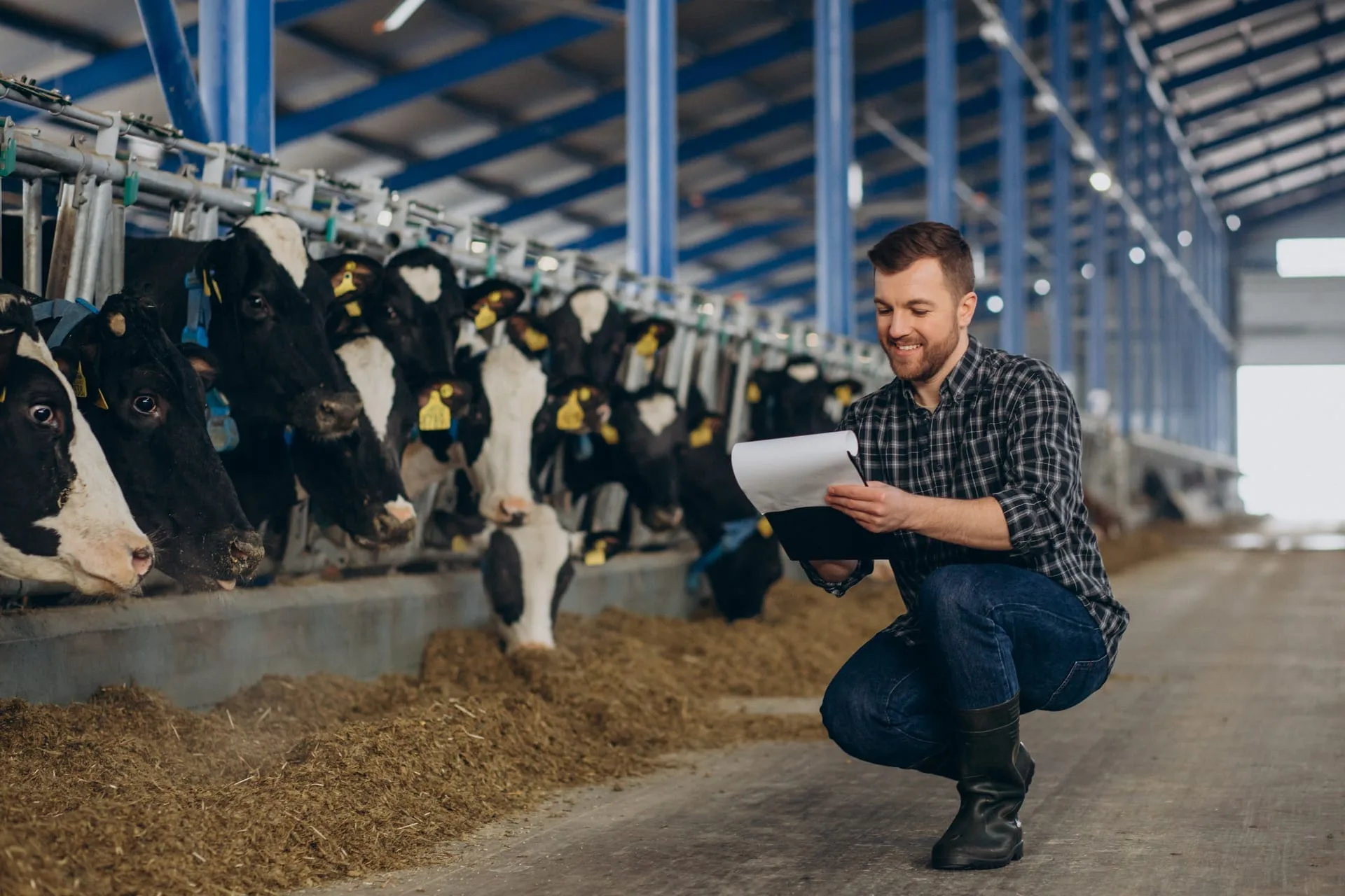Dairy Farm Management System (CALVIQ)
